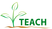 Image result for teach